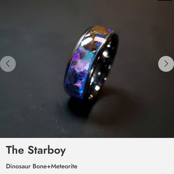 The Star Boy Ring for Men with Dinosaur Bone & Meteorite READ DESCRIPTION